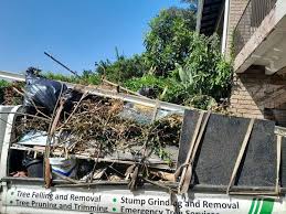Best Estate Cleanout  in San Lorenzo, CA